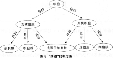 在"细胞的结构"复习课的教学中,某教师采用概念图(图8)帮助学生梳理