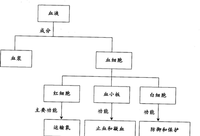 20151014205117_8005.png